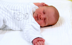 Halász Ákos Levente, Hegyeshalom