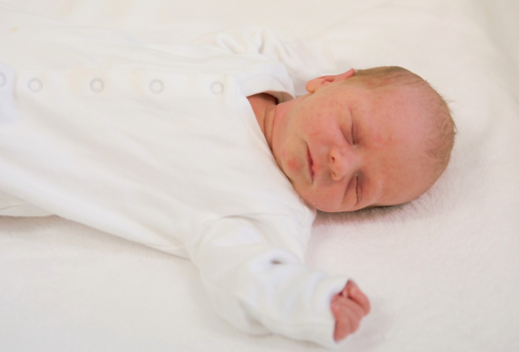 Szarka-Bella Nándor, Darnózseli