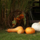 Szigetköz Lelke Pálinkaház - Családi program és a IV. bérfőzetői pálinkaverseny eredményhirdetése