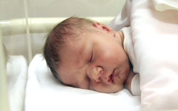 Molnár Ármin Zalán, Mosonmagyaróvár