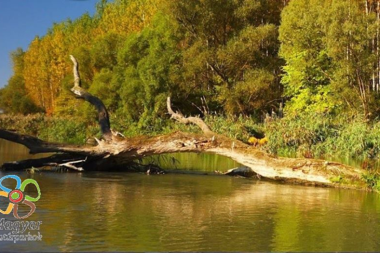 Ma Kisbodakon tart szakmai fórumot a Szigetköz Natúrpark Egyesület