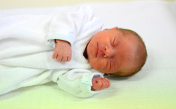 Meszényi Mirella, Mosonmagyaróvár