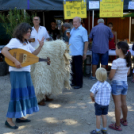 Albertkázmérpusztai Búcsú