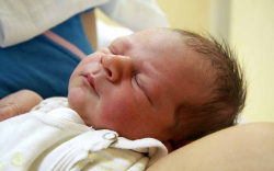 Horváth Noel, Mosonmagyaróvár