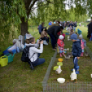 Szigetközi Gulyahajtás 2019