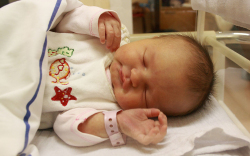 Rácz Borbála, Bősárkány