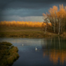 Scháling Anita Fotóalbuma