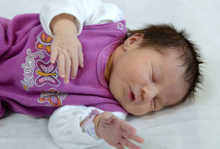 Bakonyi Maja, Hegyeshalom