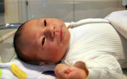 Szemenyei Ábel, Mosonmagyaróvár