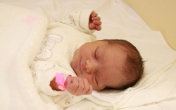 Varga Szofi, Jánossomorja