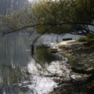 Bánhegyi Photography - Szigetköz képekben