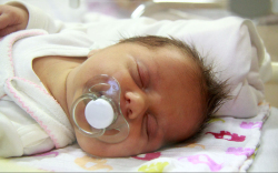 Török Lara Erzsébet, Bősárkány