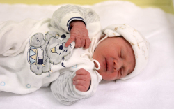 Pungor Dominik, Mosonszentmiklós