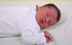 Vajas Zente Eduárd, Hegyeshalom