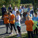 Szigetközi Önkormányzatok a fenntartható energiahasználatért