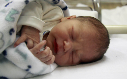 Balla Márk, Mosonmagyaróvár