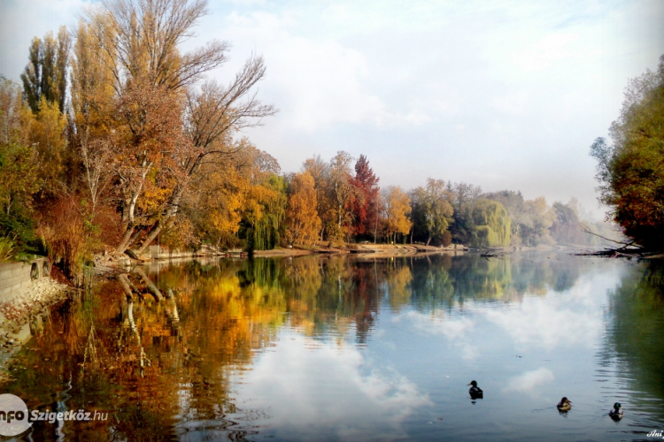 Nagy Kamilla: A szigetköz tündérei