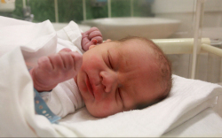 Kráz Benjamin, Mecsér