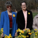 Az ország legnagyobb napóráját avatták Dunaszigeten