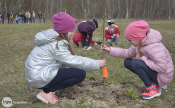 Diákokkal együtt avatták fel a Nefelejcs Gyümölcsöskertet Dunaszigeten