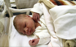 Kiss Csongor, Fertőszentmiklós