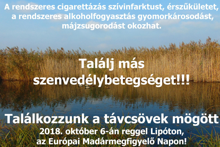 A világ legnagyobb versenye