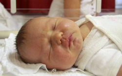 Fábri Tamara, Bezenye