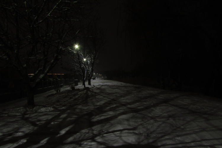 Ahol a csend érték - Egy madárbarát naplója