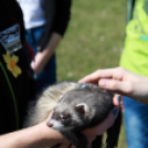 Az ország legnagyobb napóráját avatták Dunaszigeten