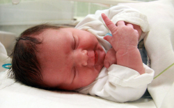 Horváth Krisztofer, Mosonmagyaróvár