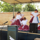 Megyei Nemzetiségi Nap és Megyei Értéknap