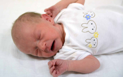 Farkas Mirella, Mosonmagyaróvár