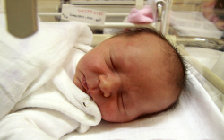 Boros Zalán Marcell, Mosonmagyaróvár